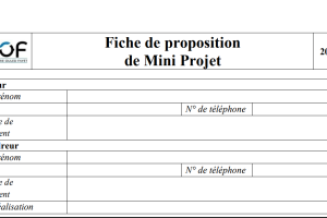 Capture d'écran 2025-04-17 124249