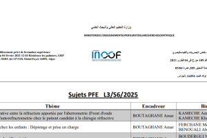 Capture d'écran 2025-04-17 124312